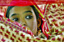 শিকাগো সাউথ এশিয়ান চলচ্চিত্র উৎসবে ‘মাটির প্রজার দেশে’