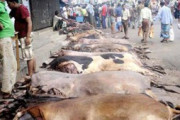 পানির দরে চামড়া কিনতে সিন্ডিকেটের পাঁয়তারা