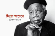 ফিকশনের মাধ্যমে আরো গভীরভাবে সত্যকে তুলে ধরা যায় : চিনুয়া আচেবে