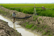 এখনও টিকে আছে আমাদের ঐতিহ্য (ডিজিটাল যুগেও চলছে প্রাচীন সেচ পদ্ধতি)