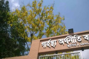 গার্হস্থ্য অর্থনীতি কলেজ এখনই ঢাবির অনুষদ হচ্ছে না
