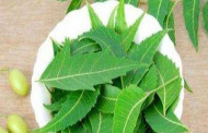 রূপচর্চায় নিমের ব্যবহার
