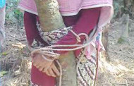 গাছে বেঁধে নববধূকে নির্যাতনের অভিযোগ