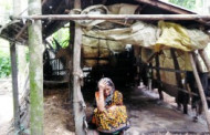 হতদরিদ্র নারীর গরু চেয়ারম্যানের বাড়িতে!