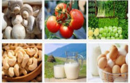 যে খাবারগুলো কাঁচা খাবেন না