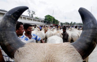 ১৩ সেপ্টেম্বর পবিত্র ঈদুল আজহা