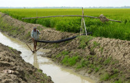 এখনও টিকে আছে আমাদের ঐতিহ্য (ডিজিটাল যুগেও চলছে প্রাচীন সেচ পদ্ধতি)
