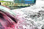 সরকার নদী দখল ও দূষণরোধে শক্তিশালী কমিটি : নৌমন্ত্রী